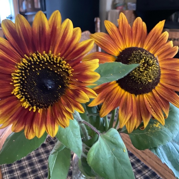 Meet your Posher, Jen - Picture 2 of 16